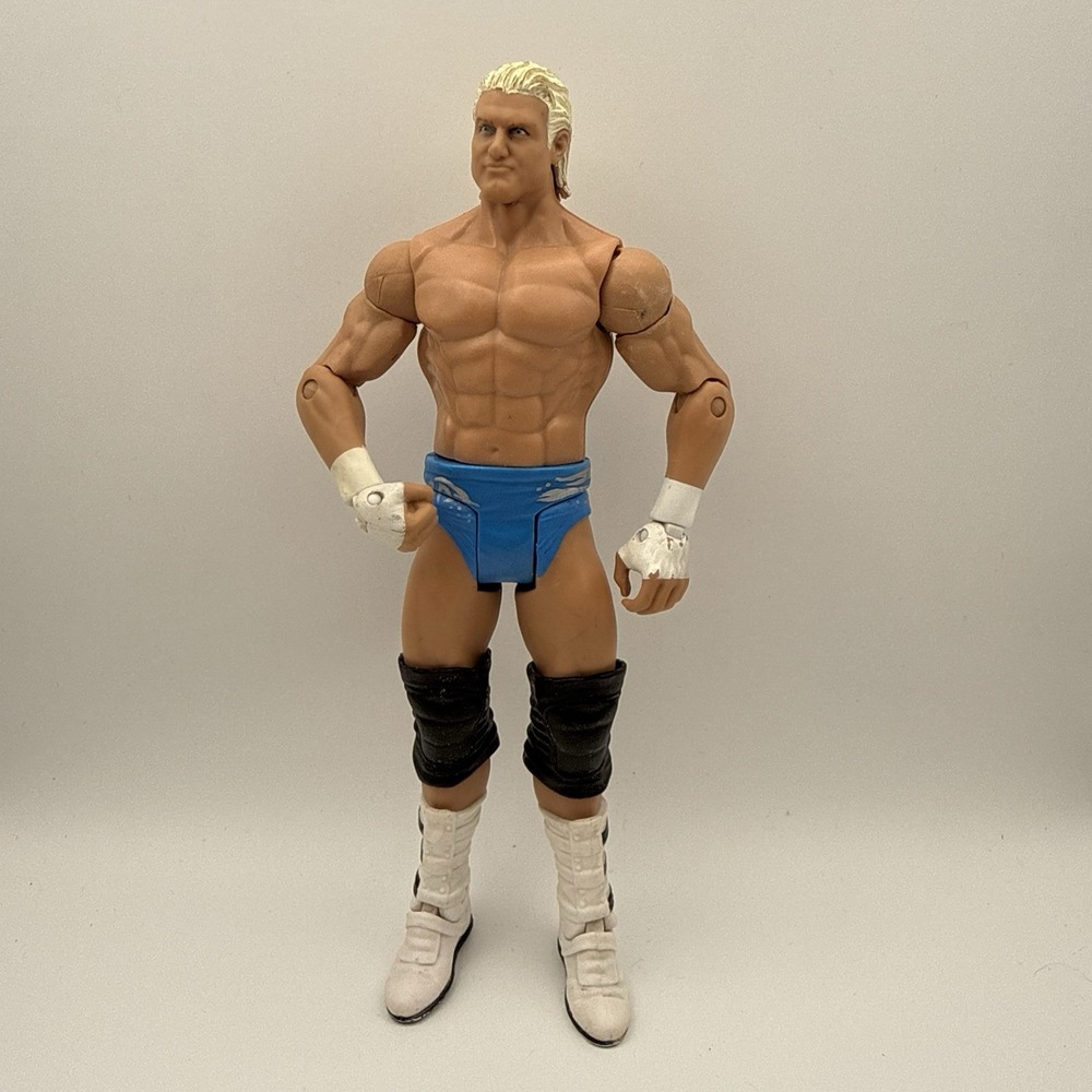 WWE Dolph Ziggler No Way Out Basic Wrestling Action Figure 2011 Mattel